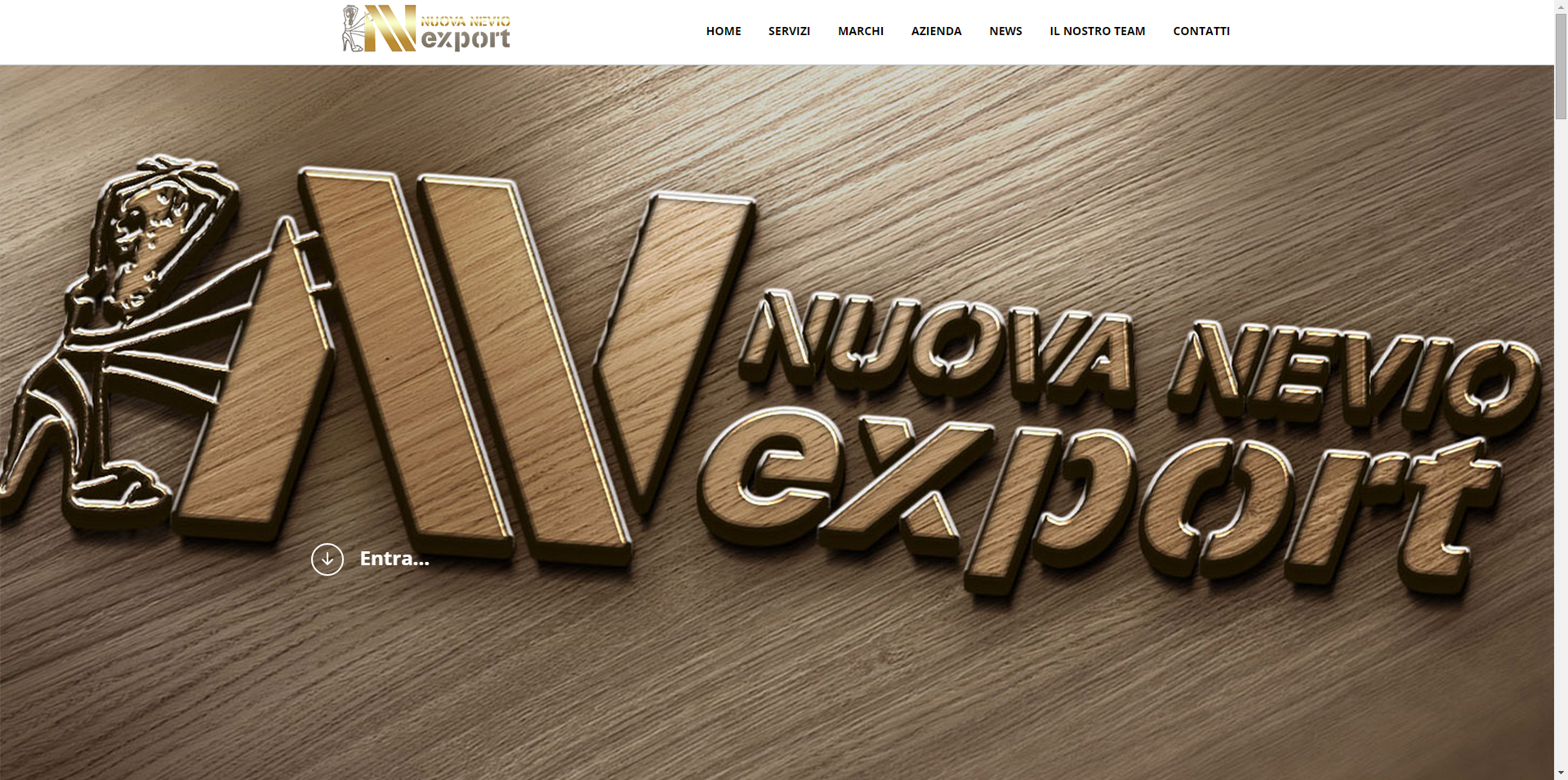 screenshot-www.nuovanevioexport.com 2015-03-03 08-27-00